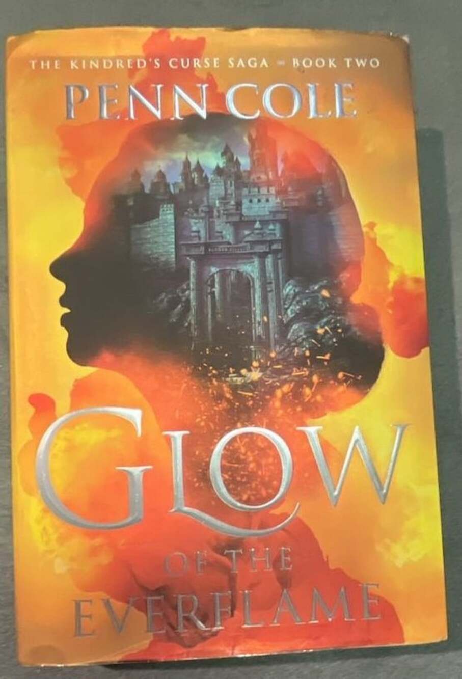 Penn Cole Glow of the Everflame Hardcover Novel